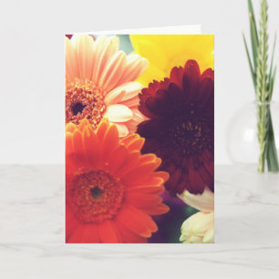 Foto-Note oder Grußkarte für lebendige Daisy-Blume Karte