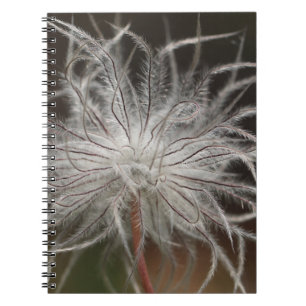 Foto Notebook (80 Seiten B&W) Notizblock