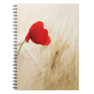 Foto Notebook (80 Seiten B&W) Notizblock