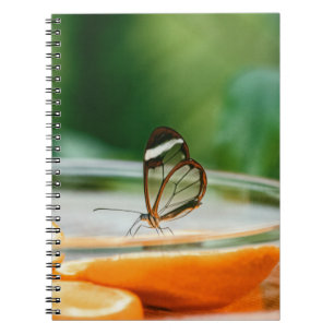 Foto Notebook (80 Seiten B&W) Notizblock