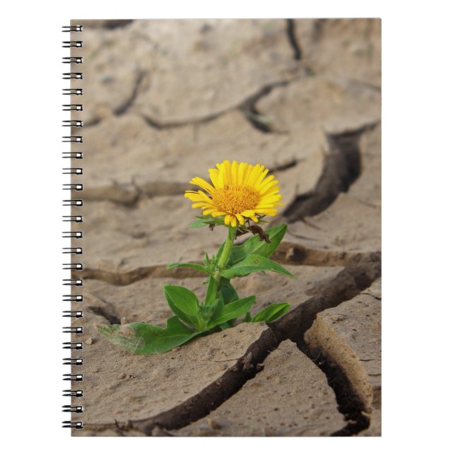 Foto Notebook (80 Seiten B&W) Notizblock (Vorderseite)