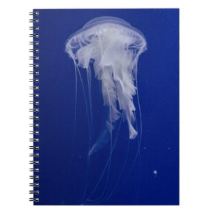 Foto Notebook (80 Seiten B&W) Notizblock