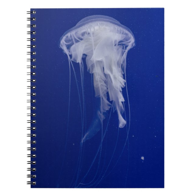 Foto Notebook (80 Seiten B&W) Notizblock (Vorderseite)