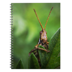 Foto Notebook (80 Seiten B&W) Notizblock