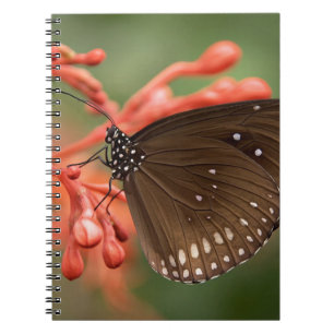 Foto Notebook (80 Seiten B&W) Notizblock