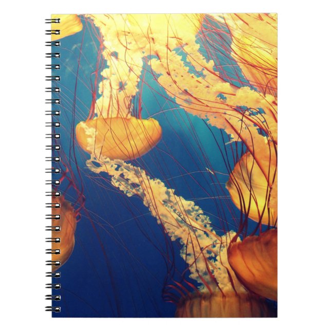 Foto Notebook (80 Seiten B&W) Notizblock (Vorderseite)