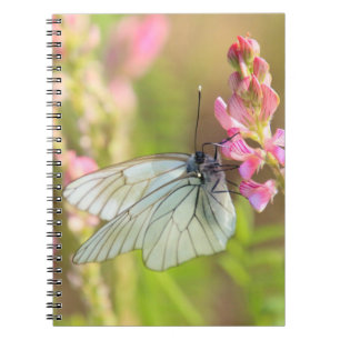 Foto Notebook (80 Seiten B&W) Notizblock