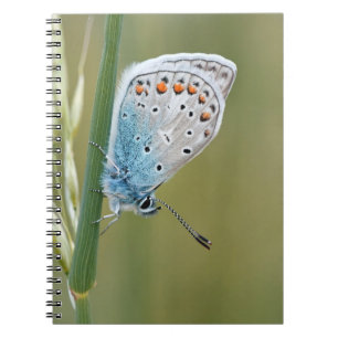 Foto Notebook (80 Seiten B&W) Notizblock