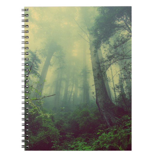 Foto Notebook (80 Seiten B&W) Notizblock (Vorderseite)