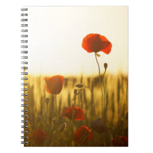 Foto Notebook (80 Seiten B&W) Notizblock