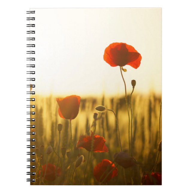 Foto Notebook (80 Seiten B&W) Notizblock (Vorderseite)