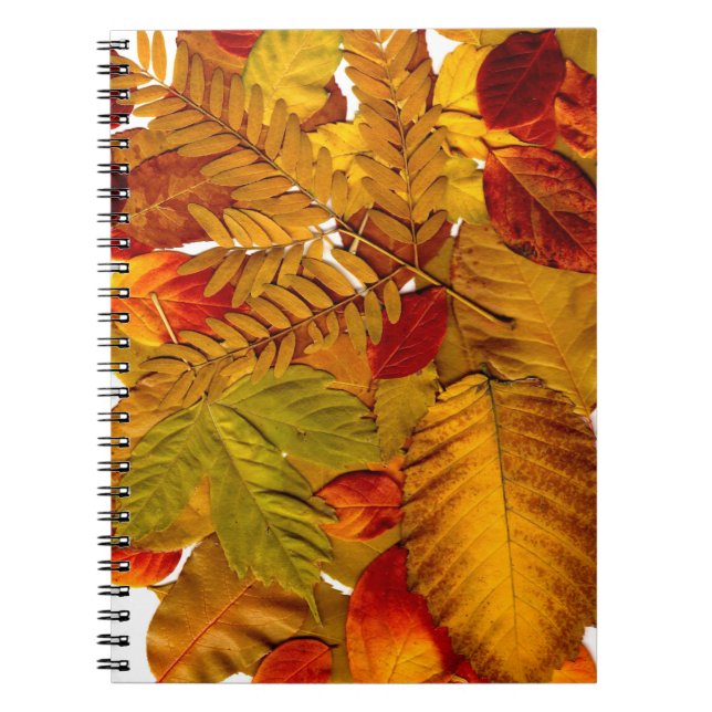Foto Notebook (80 Seiten B&W) Notizblock (Vorderseite)