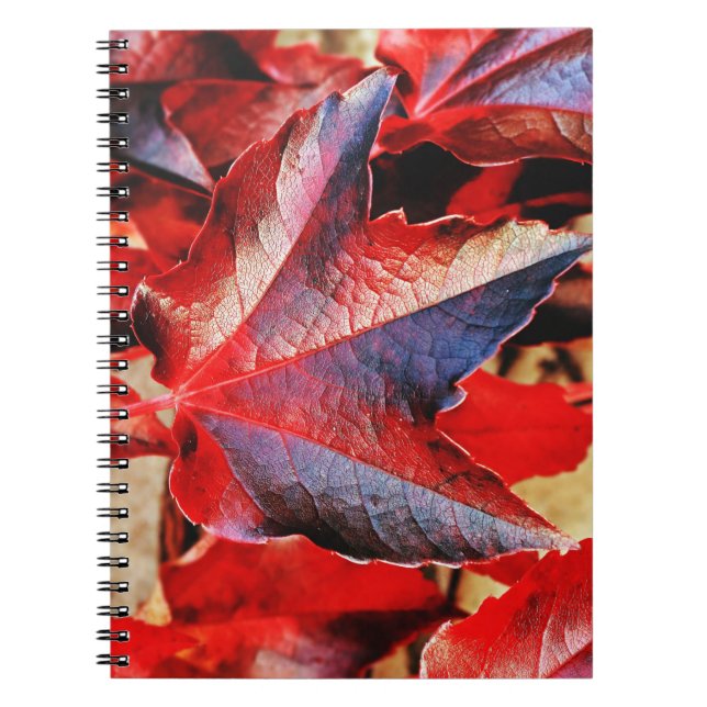 Foto Notebook (80 Seiten B&W) Notizblock (Vorderseite)