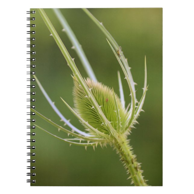 Foto Notebook (80 Seiten B&W) Notizblock (Vorderseite)
