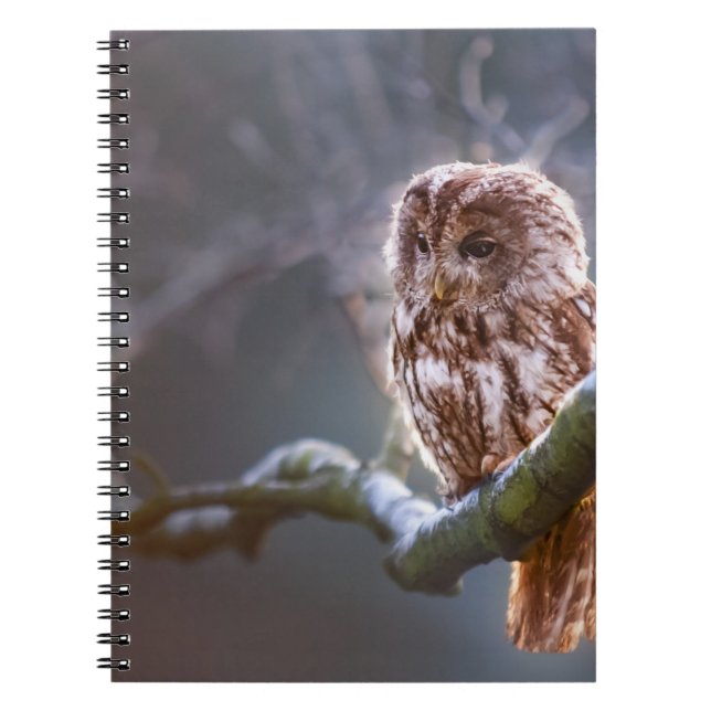 Foto Notebook (80 Seiten B&W) Notizblock (Vorderseite)