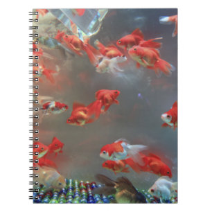 Foto Notebook (80 Seiten B&W) Notizblock