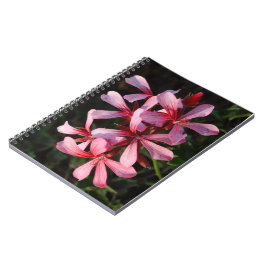 Foto-Notizbuch mit rosa Blumen (80 Seiten S/W) Notizblock