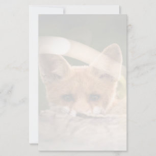 Foto of a Cute Little Orange Fox