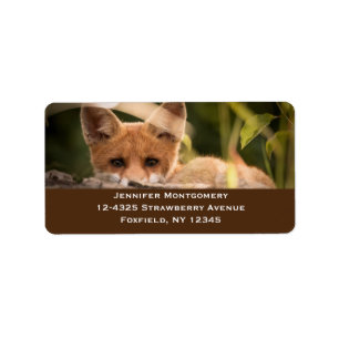 Foto of a Cute Little Orange Fox Adressaufkleber