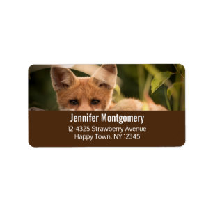 Foto of a Cute Little Orange Fox Adressaufkleber