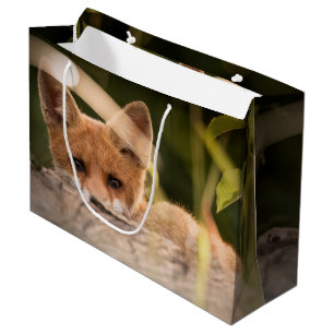 Foto of a Cute Little Orange Fox Große Geschenktüte
