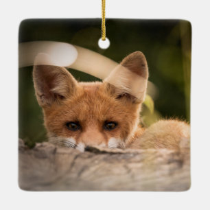 Foto of a Cute Little Orange Fox Keramikornament