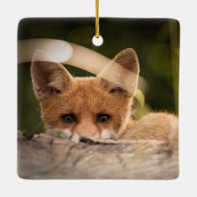Foto of a Cute Little Orange Fox Keramikornament (Rückseite)