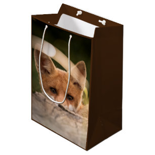 Foto of a Cute Little Orange Fox Mittlere Geschenktüte
