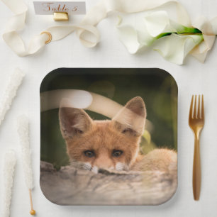 Foto of a Cute Little Orange Fox Pappteller