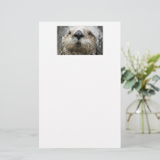 Foto-Papier für Seeschwalbe Briefpapier (Stehend Vorderseite)