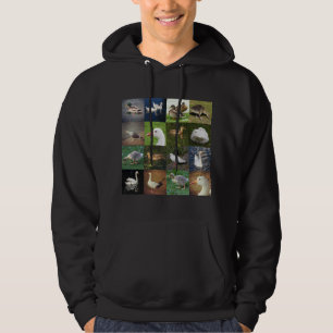 Foto Patchwork Square - Vögel Hoodie
