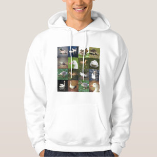 Foto Patchwork Square - Vögel Hoodie