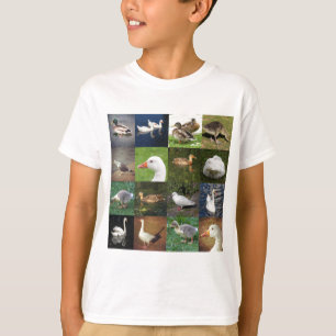 Foto Patchwork Square - Vögel T-Shirt