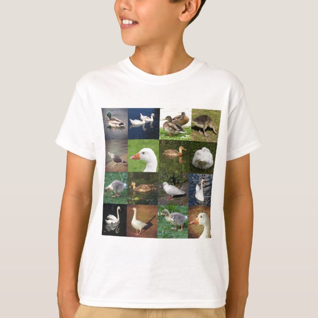 Foto Patchwork Square - Vögel T-Shirt (Vorderseite)