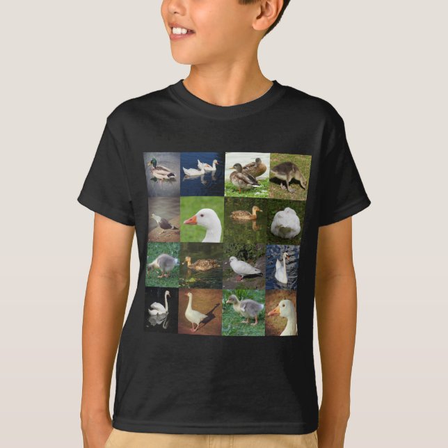 Foto Patchwork Square - Vögel T-Shirt (Vorderseite)