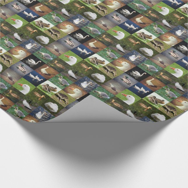Foto Patchwork - Vögel Geschenkpapier (Ecke)