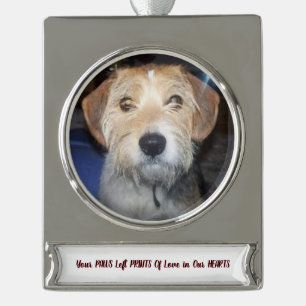 FOTO PAWS VON GRACE-Erinnerungen Banner-Ornament Silber