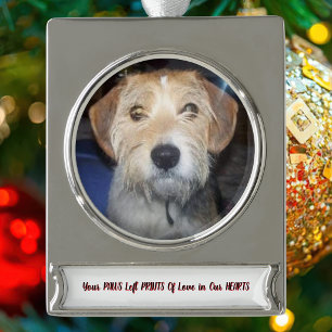 FOTO PAWS VON GRACE-Erinnerungen Banner-Ornament Silber