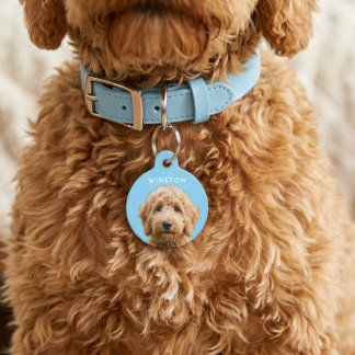 Foto personalisierter Hunde-Name - BESCHREIBUNG LE Haustiermarke