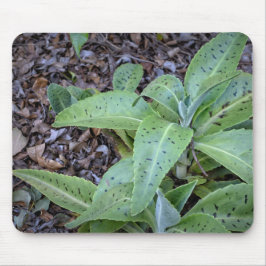 Foto - Pflanze Mousepad