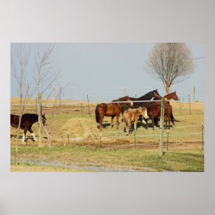 Foto-Plakat für Pferde in der Landwirtschaft Poster