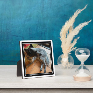 Foto Plaque Black Border HAMbWG Fotoplatte