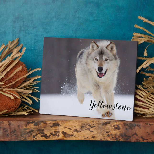Foto Plaque-Yellowstone Wolf Plaque Fotoplatte (Seite)