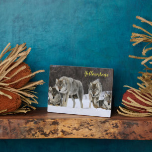 Foto Plaque-Yellowstone Wolves Plaque Fotoplatte