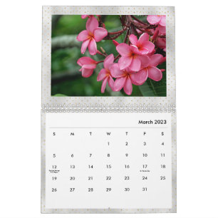 Foto Plumeria Tropical Blume  Kalender