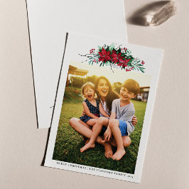 Foto Poinsettia Weihnachten