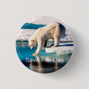 Foto Polar Bär Blau Weiße Inspiration Natur Button