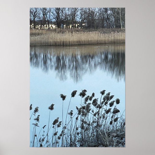 Foto Poster (Vorne)