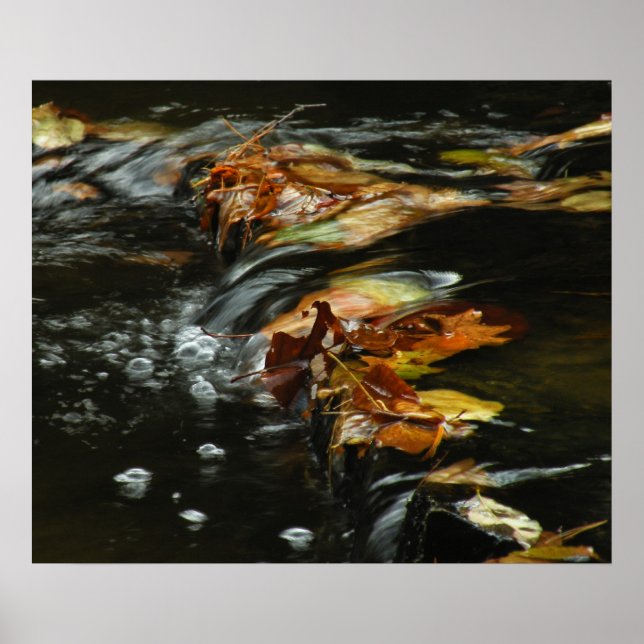 Foto-Poster für Herbst-Stream Poster (Vorne)