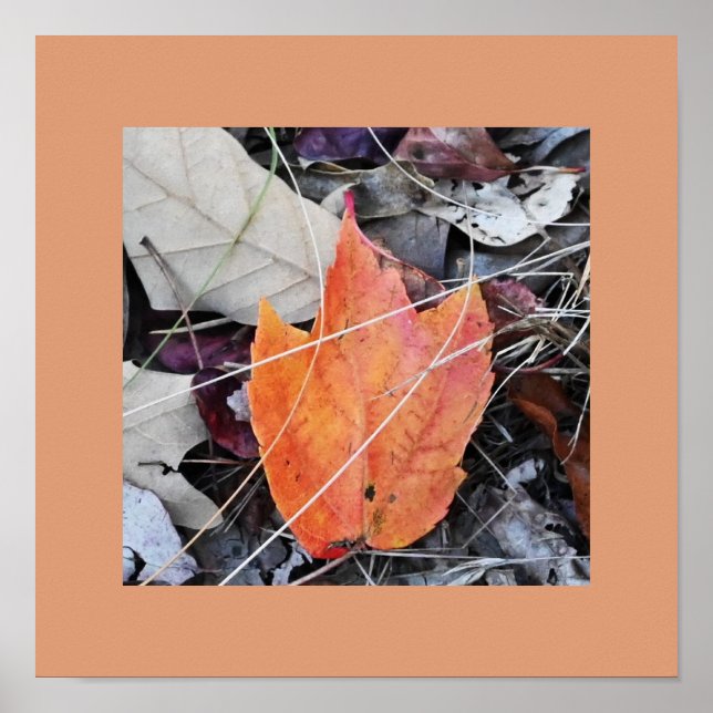 Foto-Poster für Herbstverlässe Poster (Vorne)
